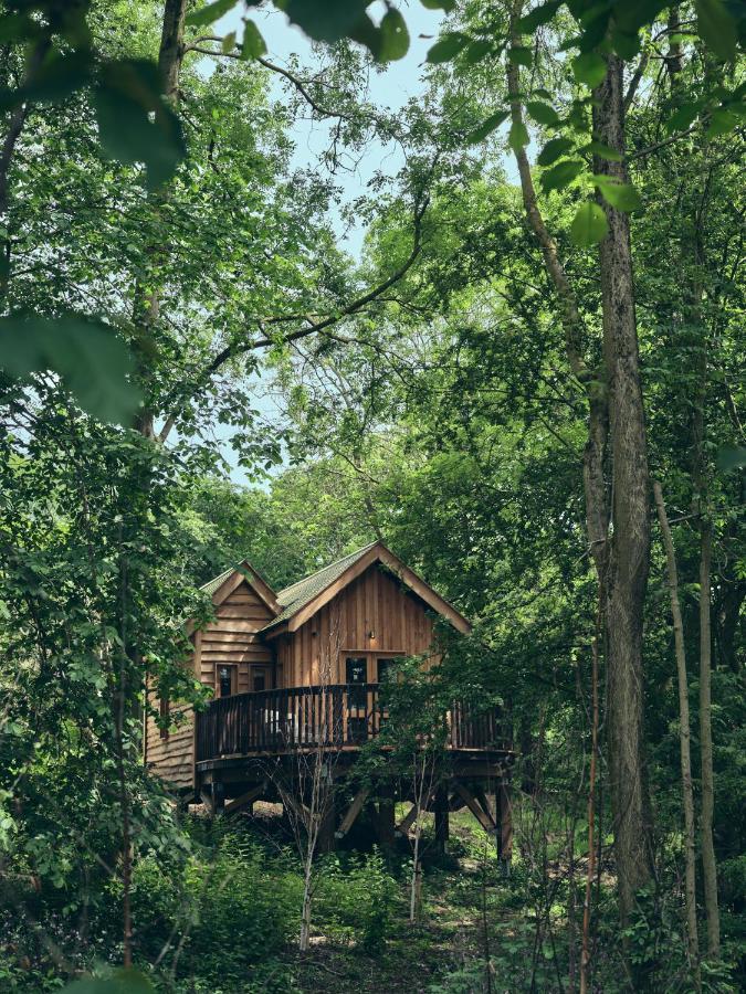 Wildhive Callow Hall Ashbourne  Zewnętrze zdjęcie